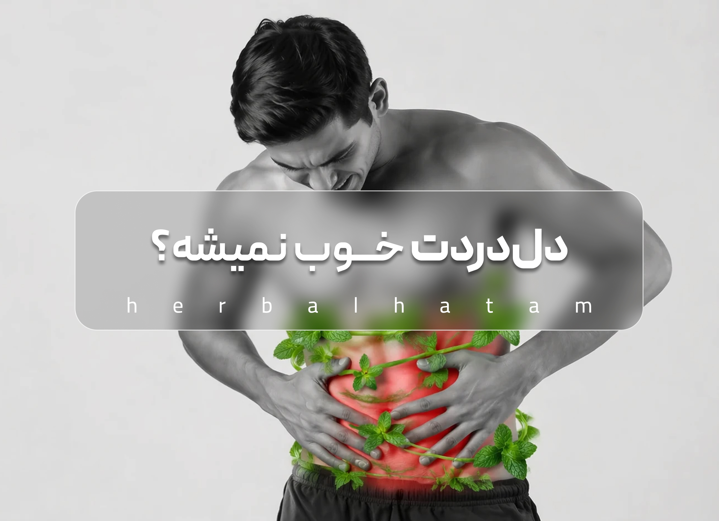 دل‌درد؟ بگذار نعناع برایت حرف بزند!