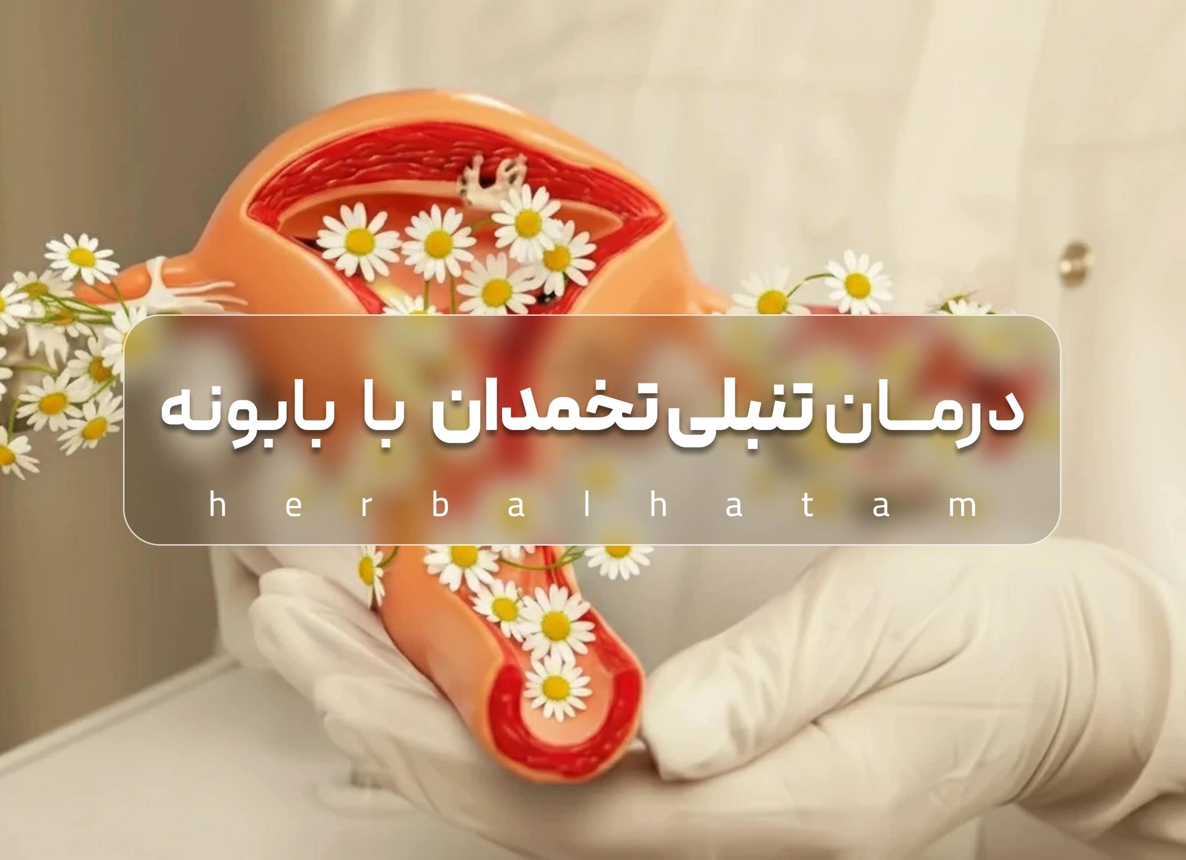 درمـــان تنبلی تخمدان با بابونه