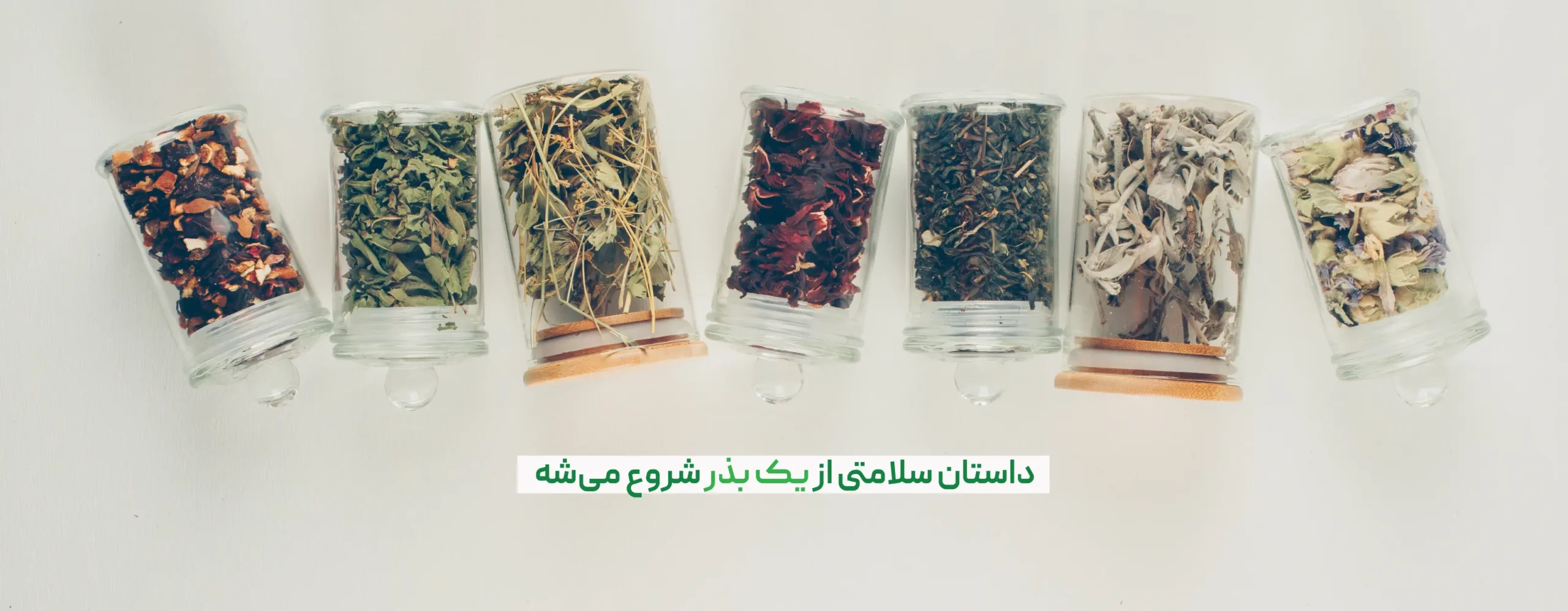 هربال حاتم