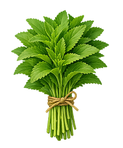 استویا