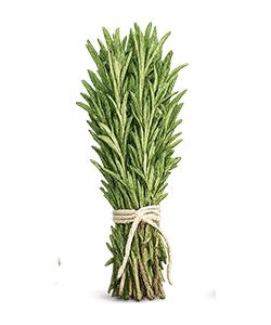 رزماری
